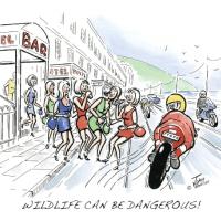 Wildlife Can Be Dangerous!